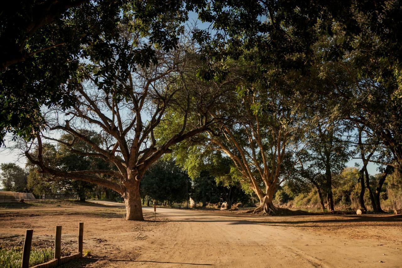 Letaba Junction Lodge Letsitele 외부 사진